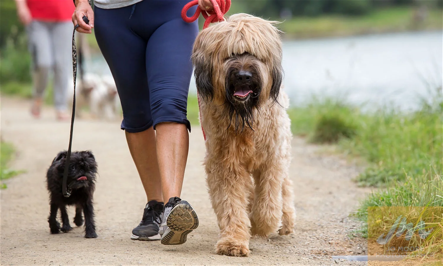 Paws in the Park-78.jpg