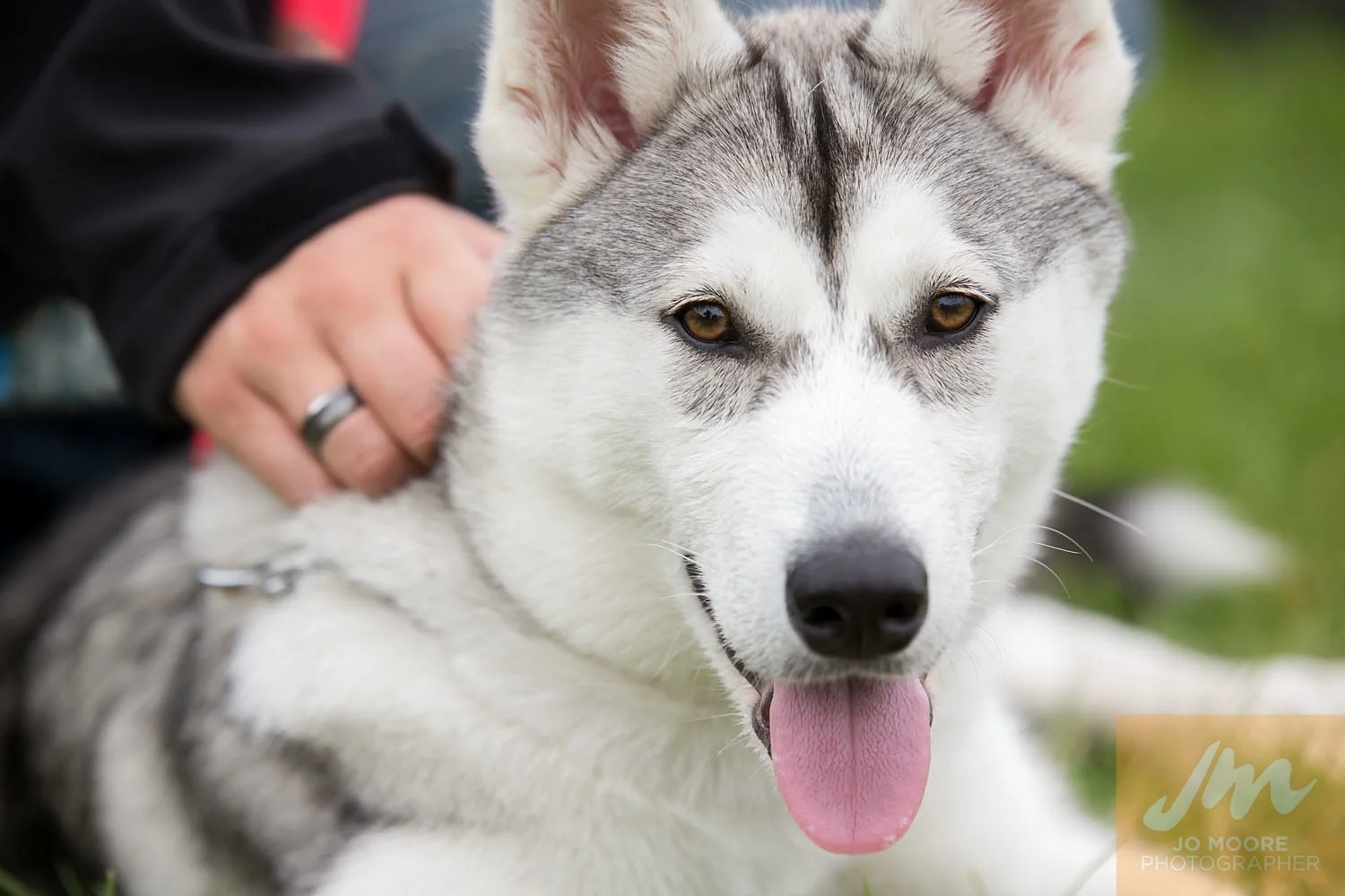 Paws in the Park-84.jpg