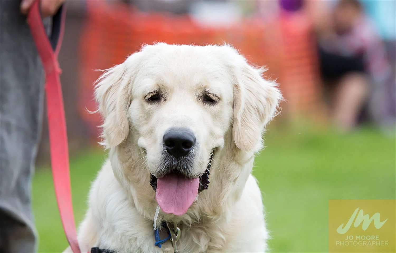 Paws in the Park-86.jpg