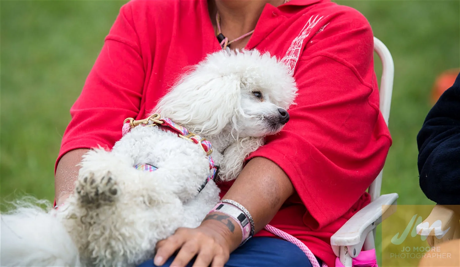 Paws in the Park-93.jpg