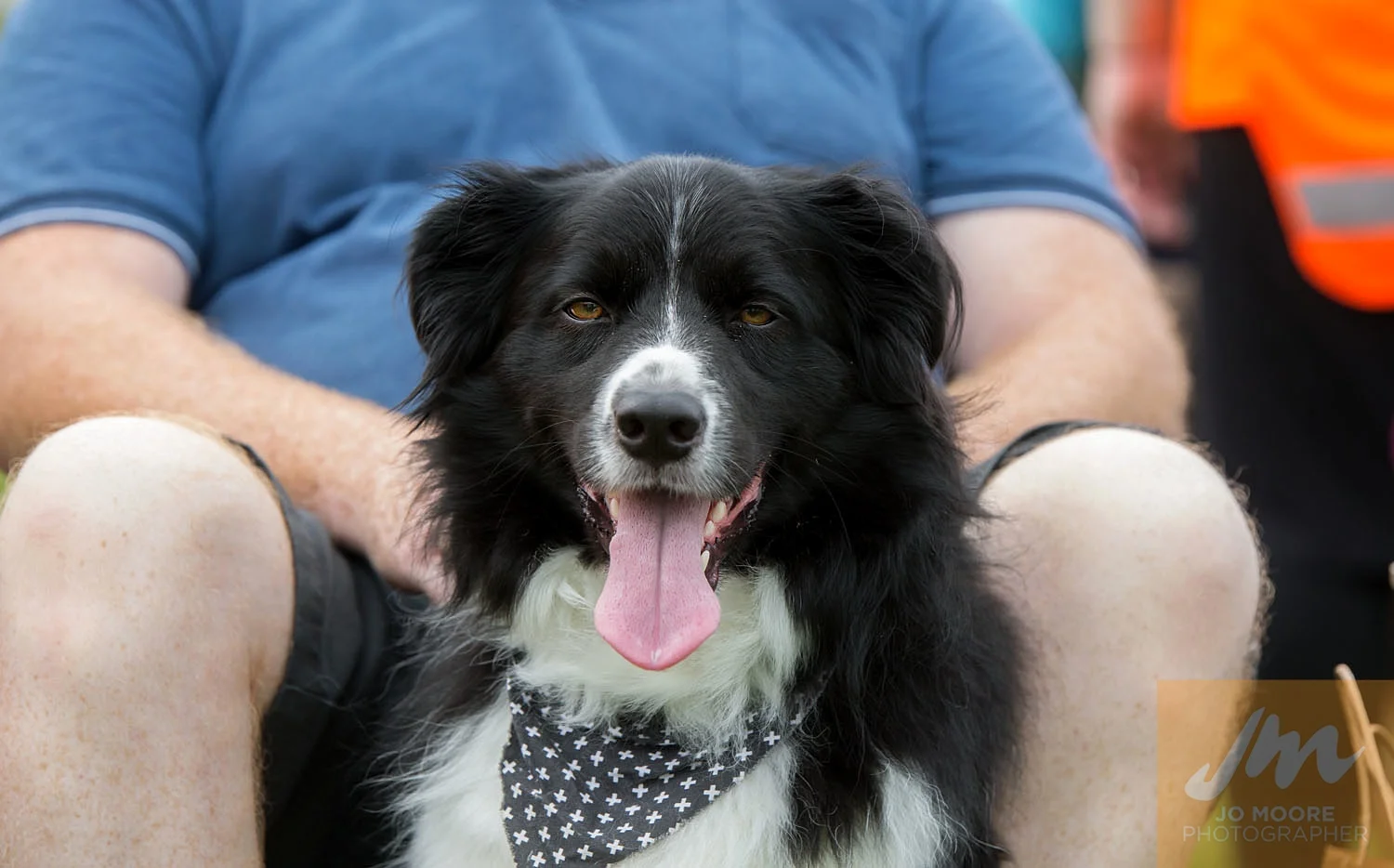 Paws in the Park-95.jpg