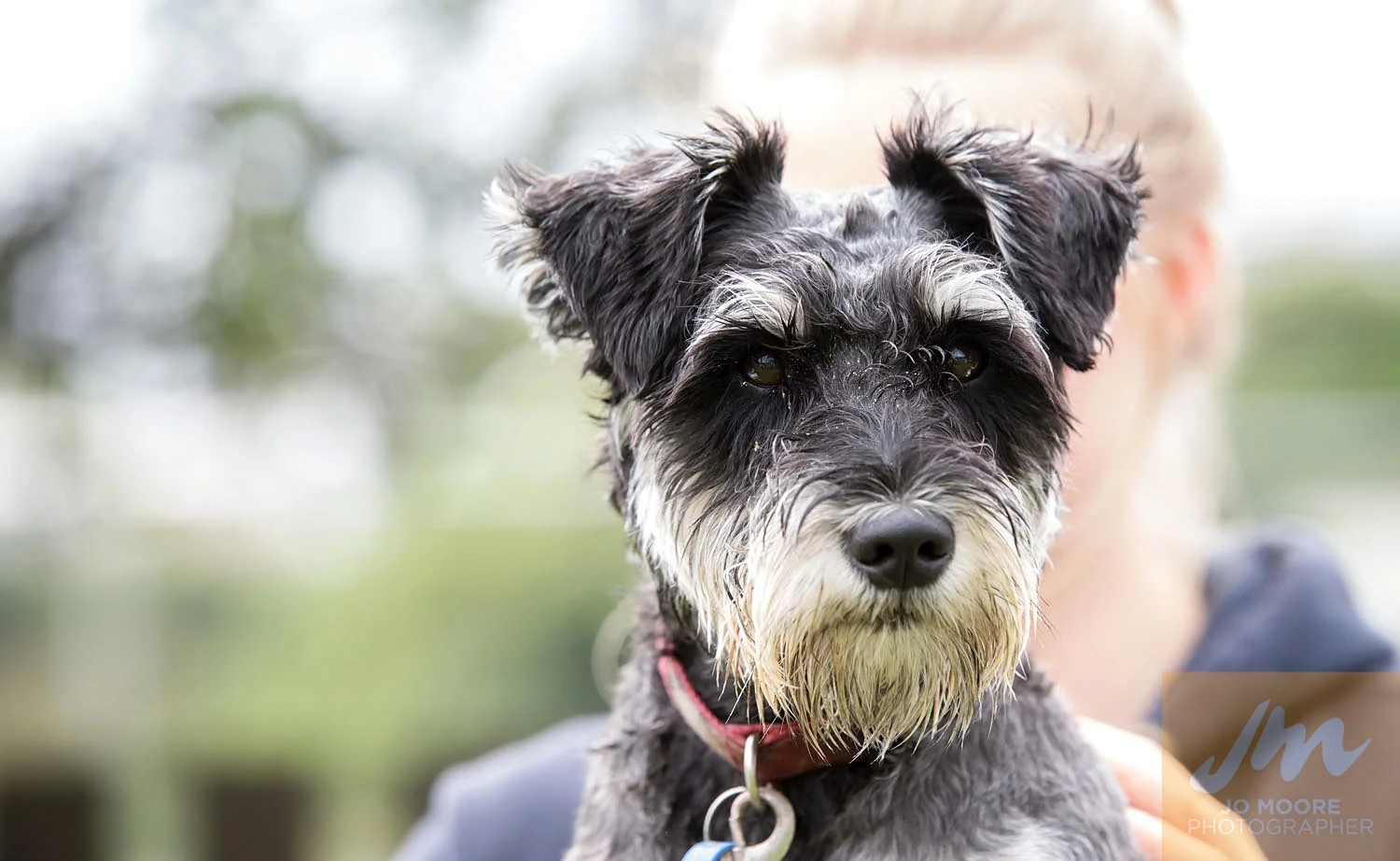 Paws in the Park-103.jpg