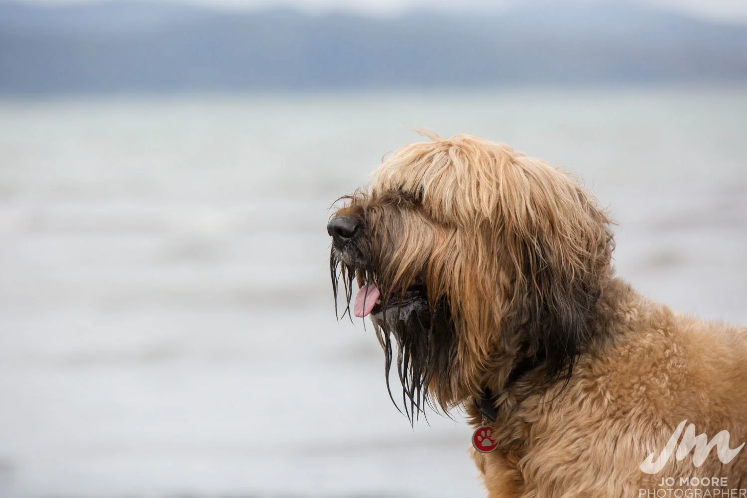 DLOP Petone-41.jpg