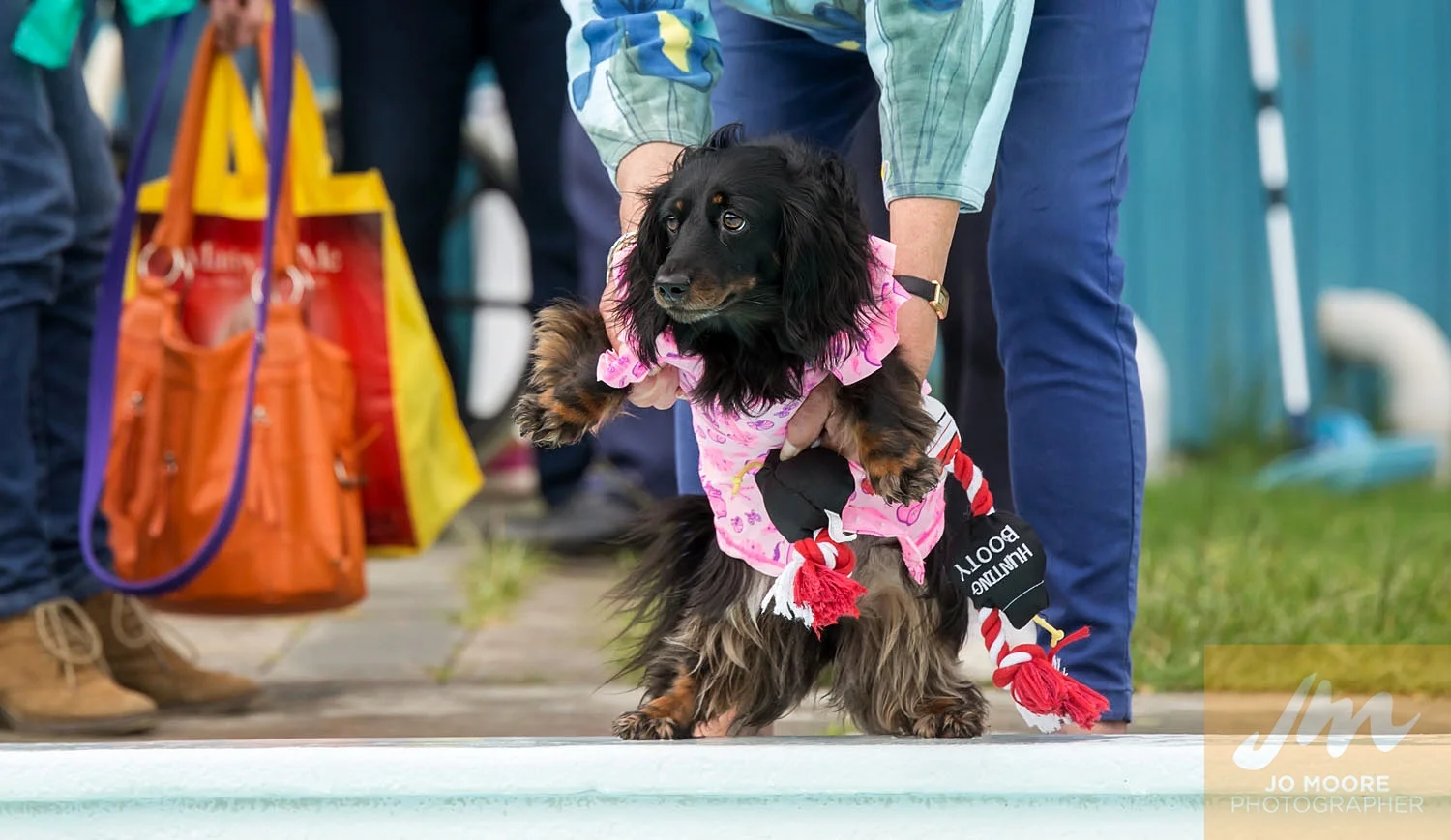 Dogs and Togs-13.jpg