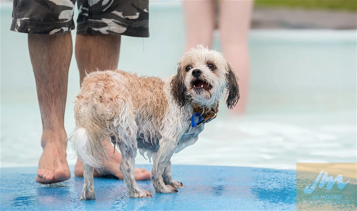 Dogs and Togs-44.jpg