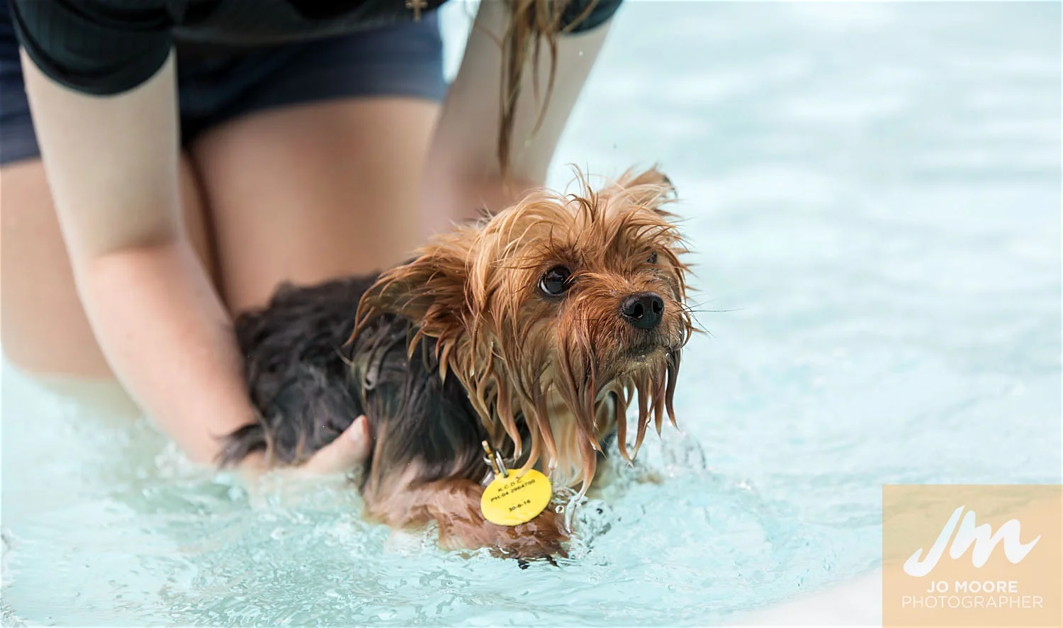 Dogs and Togs-48.jpg