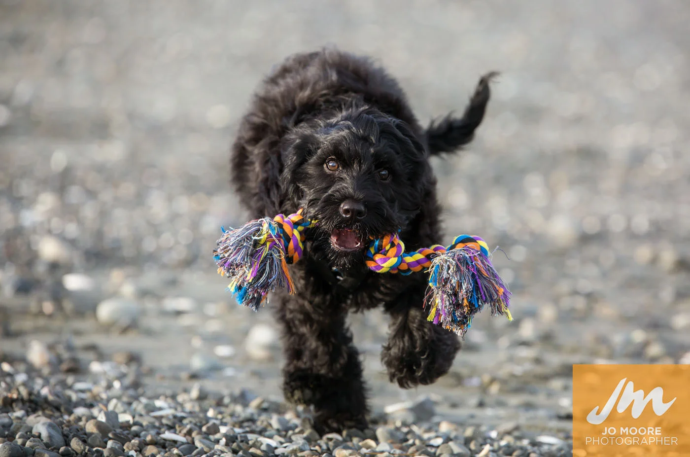 Murphy-60.jpg