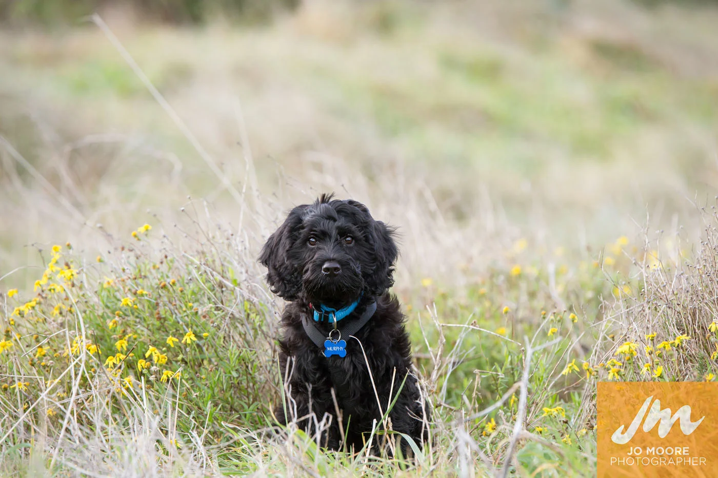 Murphy-91.jpg