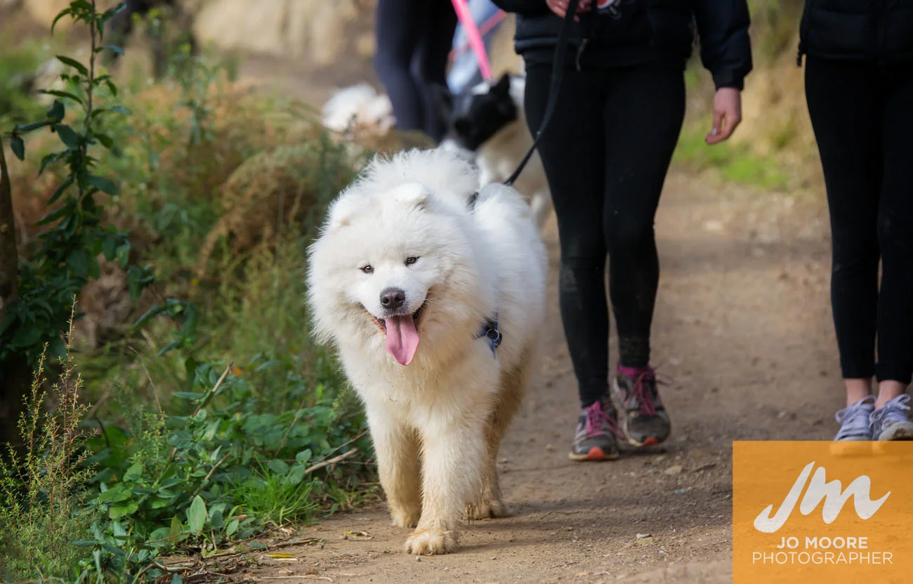 TeWhitiWalk-83.jpg