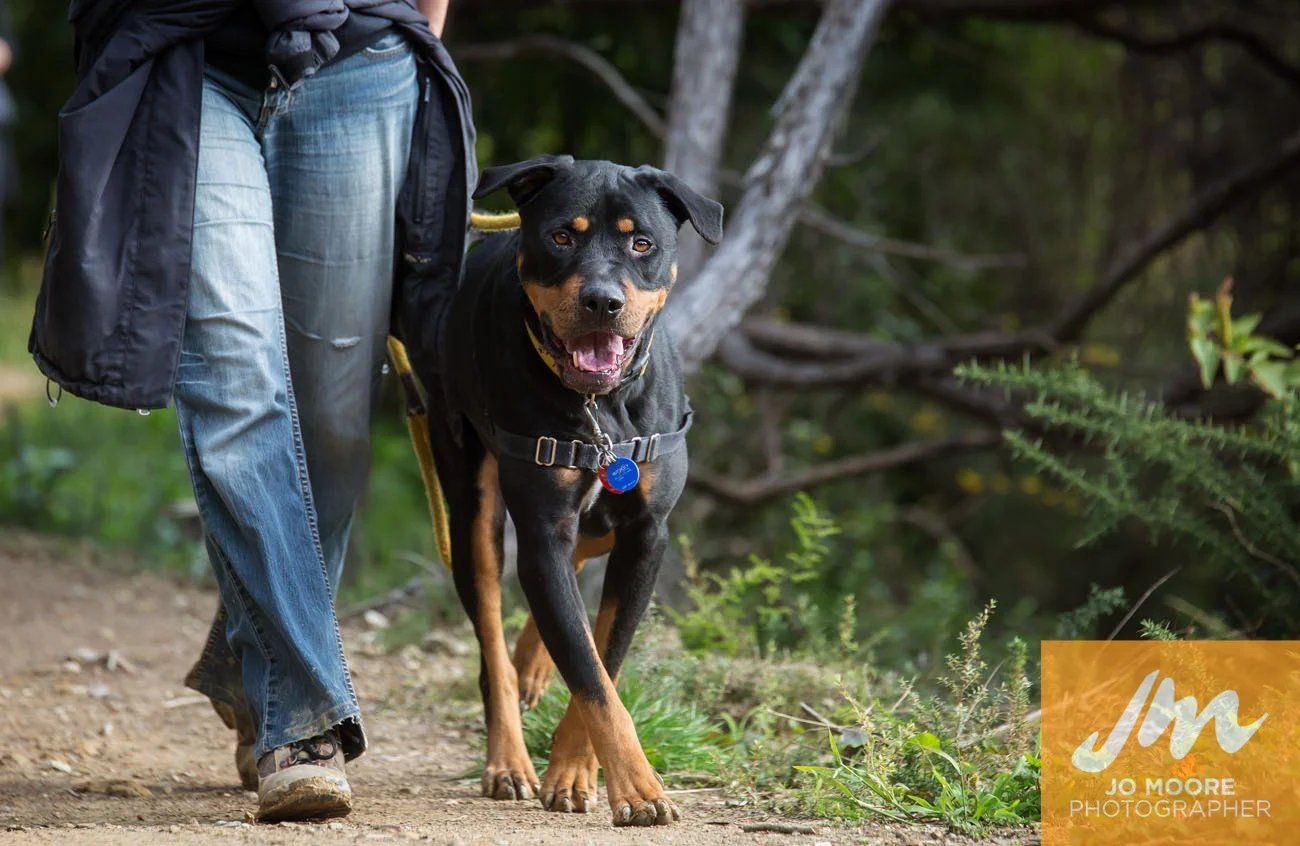 TeWhitiWalk-100.jpg