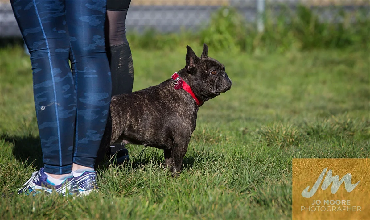 Bulldogs-29.jpg
