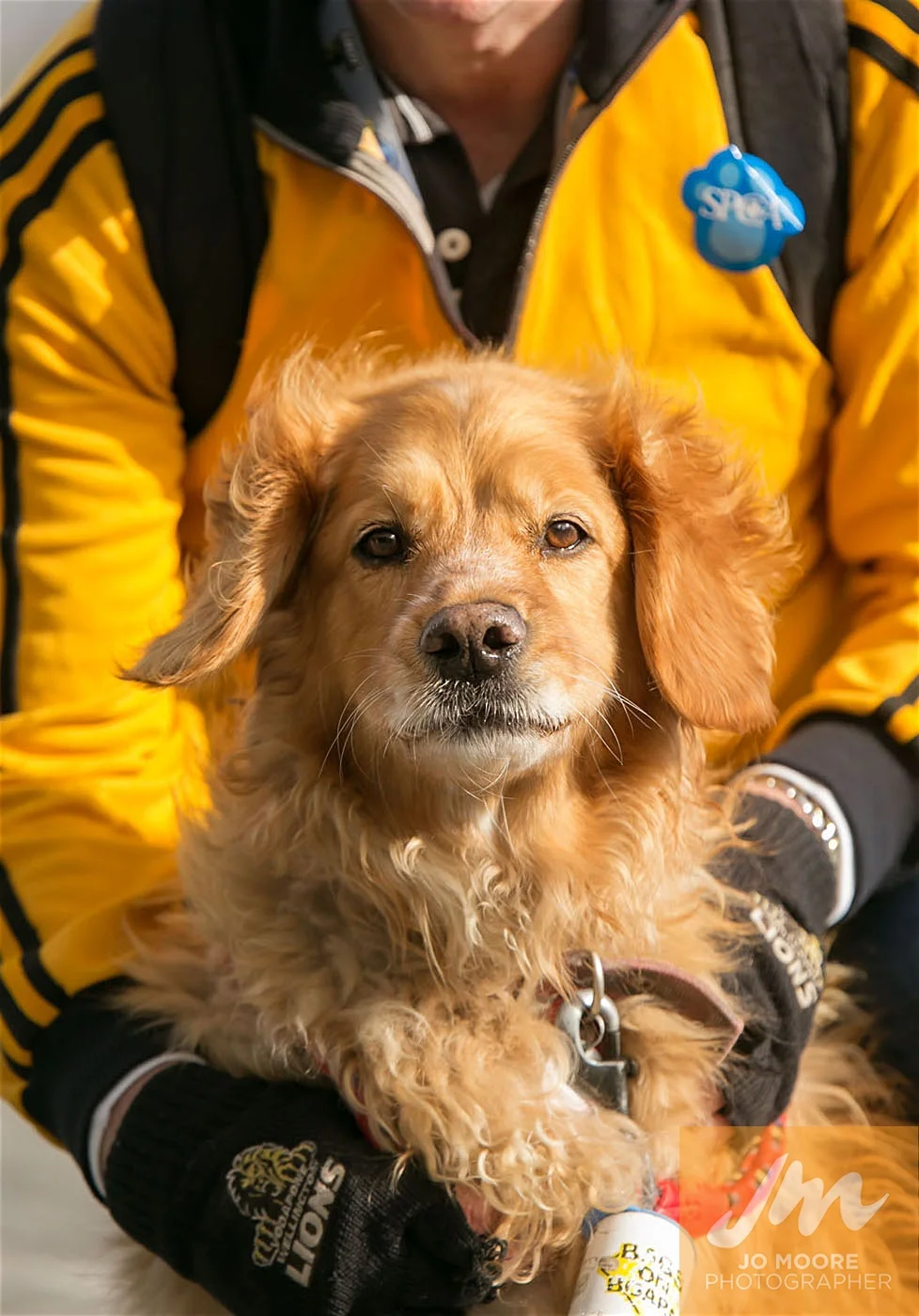 Rugby -16.jpg
