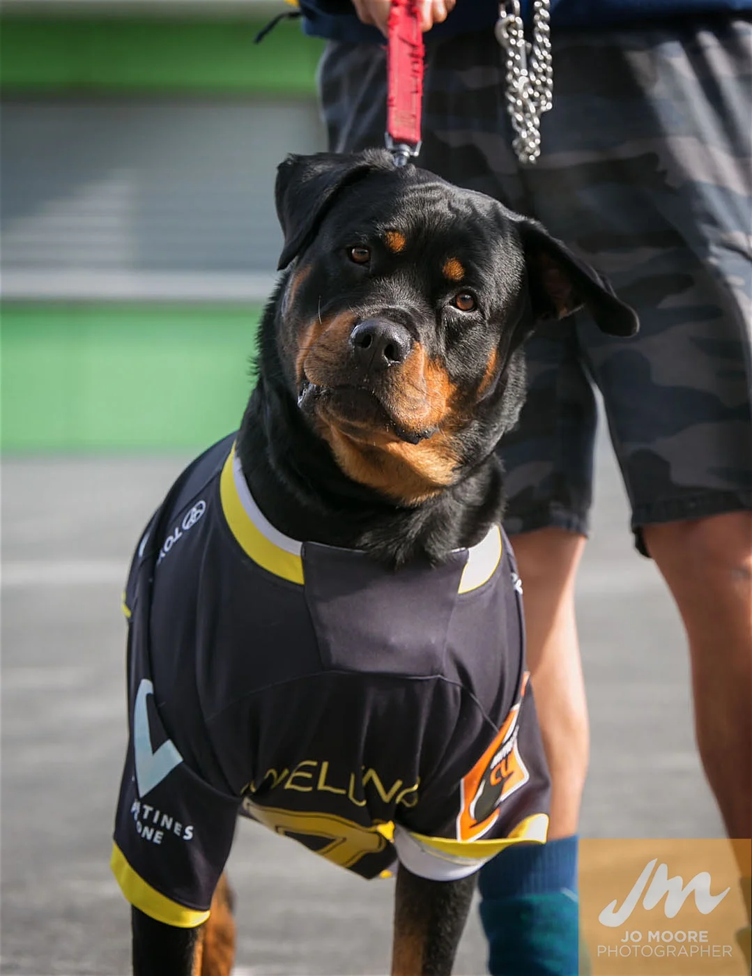 Rugby -28.jpg