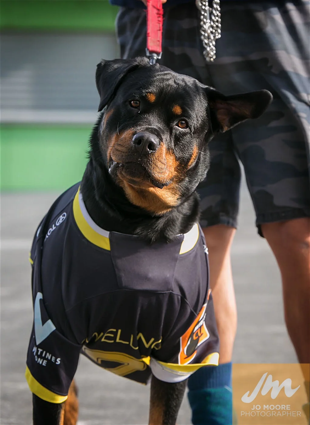 Rugby -29.jpg