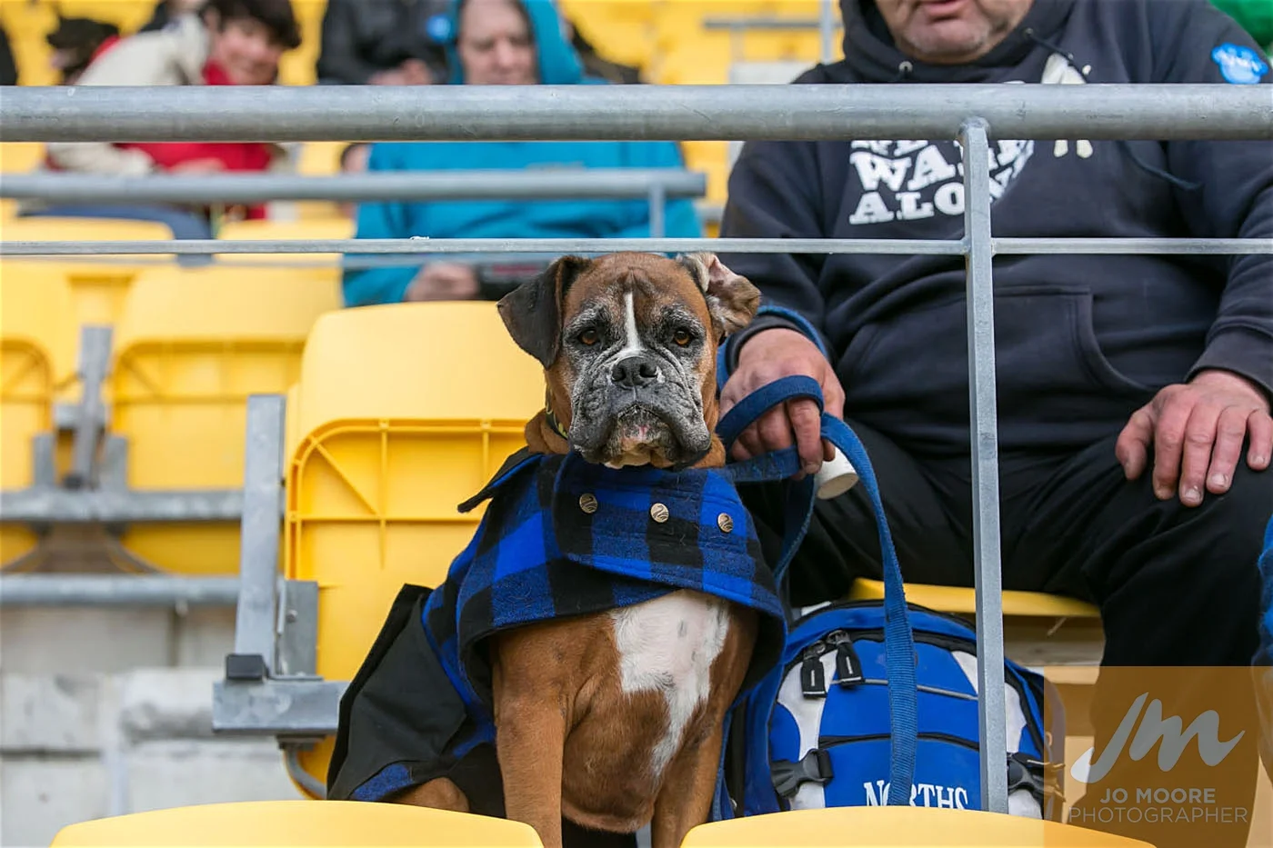 Rugby -86.jpg