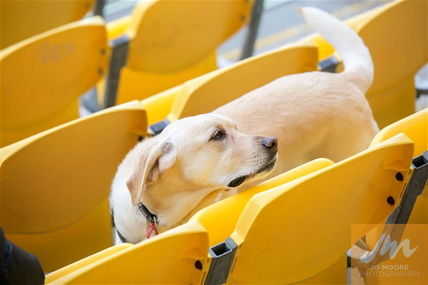 Rugby -98.jpg