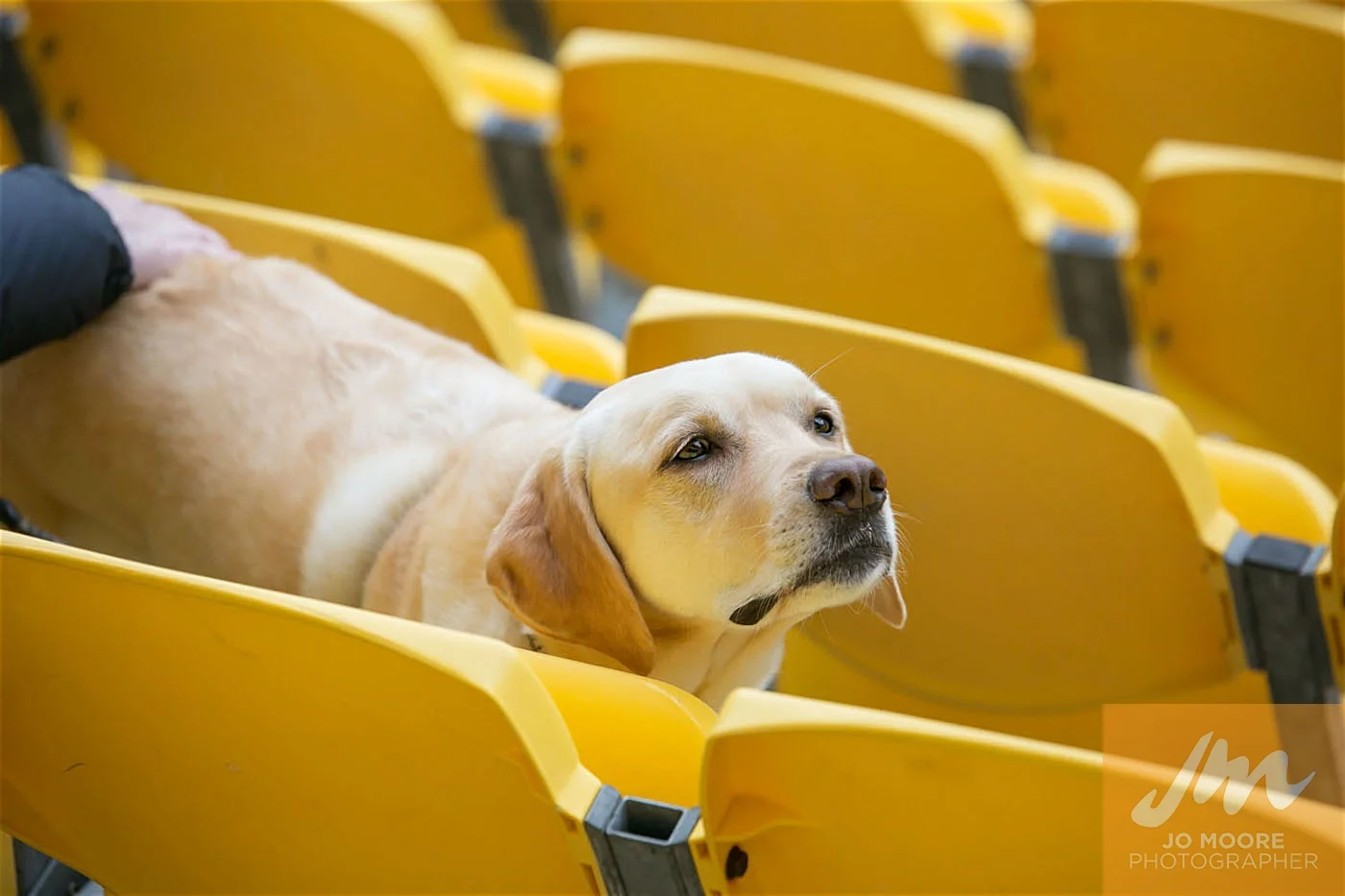 Rugby -100.jpg