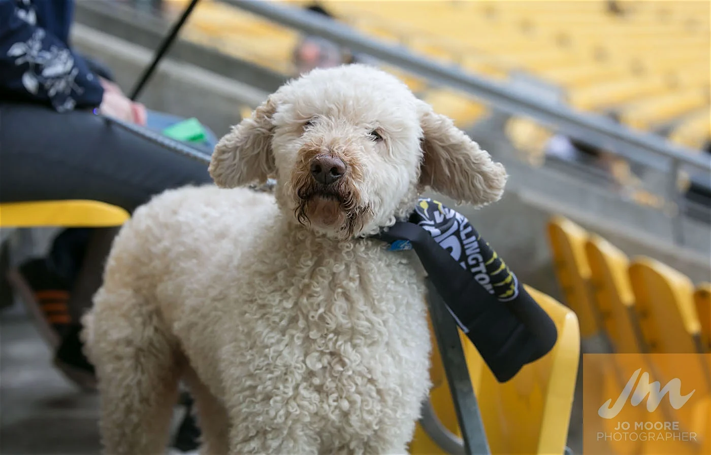 Rugby -135.jpg
