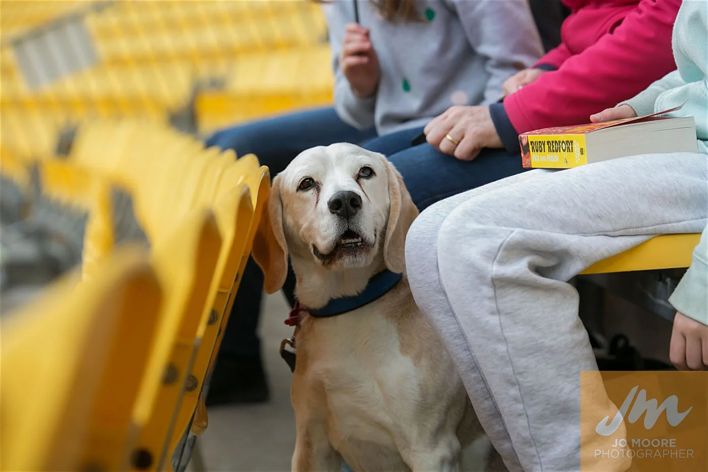 Rugby -138.jpg