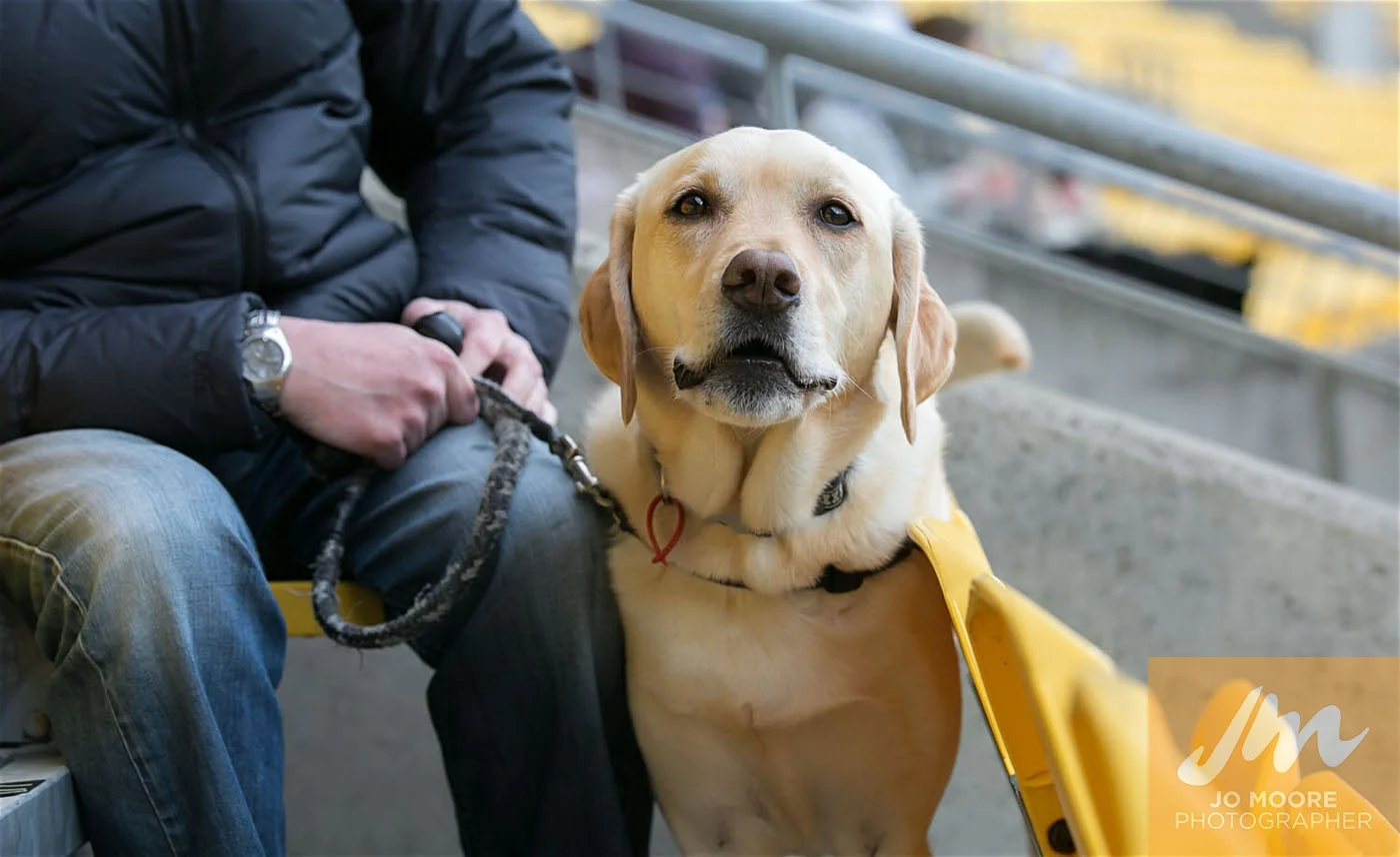 Rugby -139.jpg