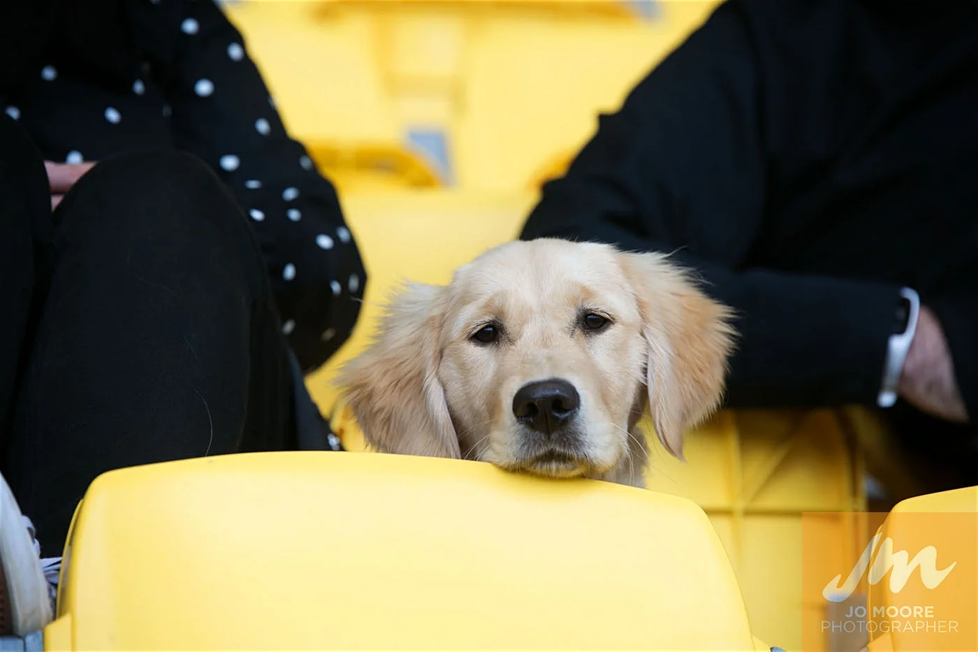Rugby -153.jpg