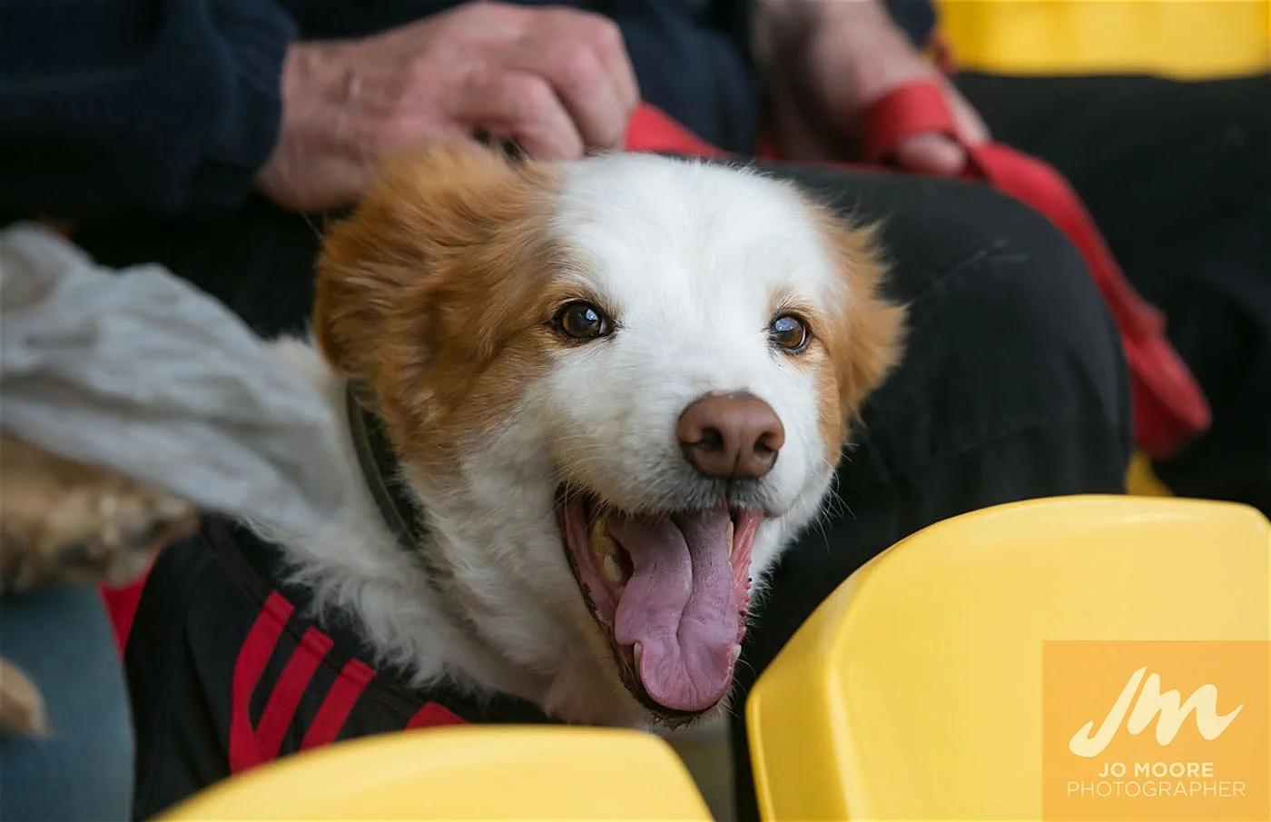 Rugby -165.jpg