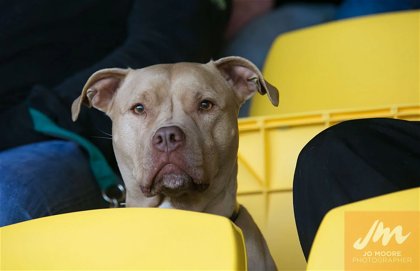 Rugby -171.jpg