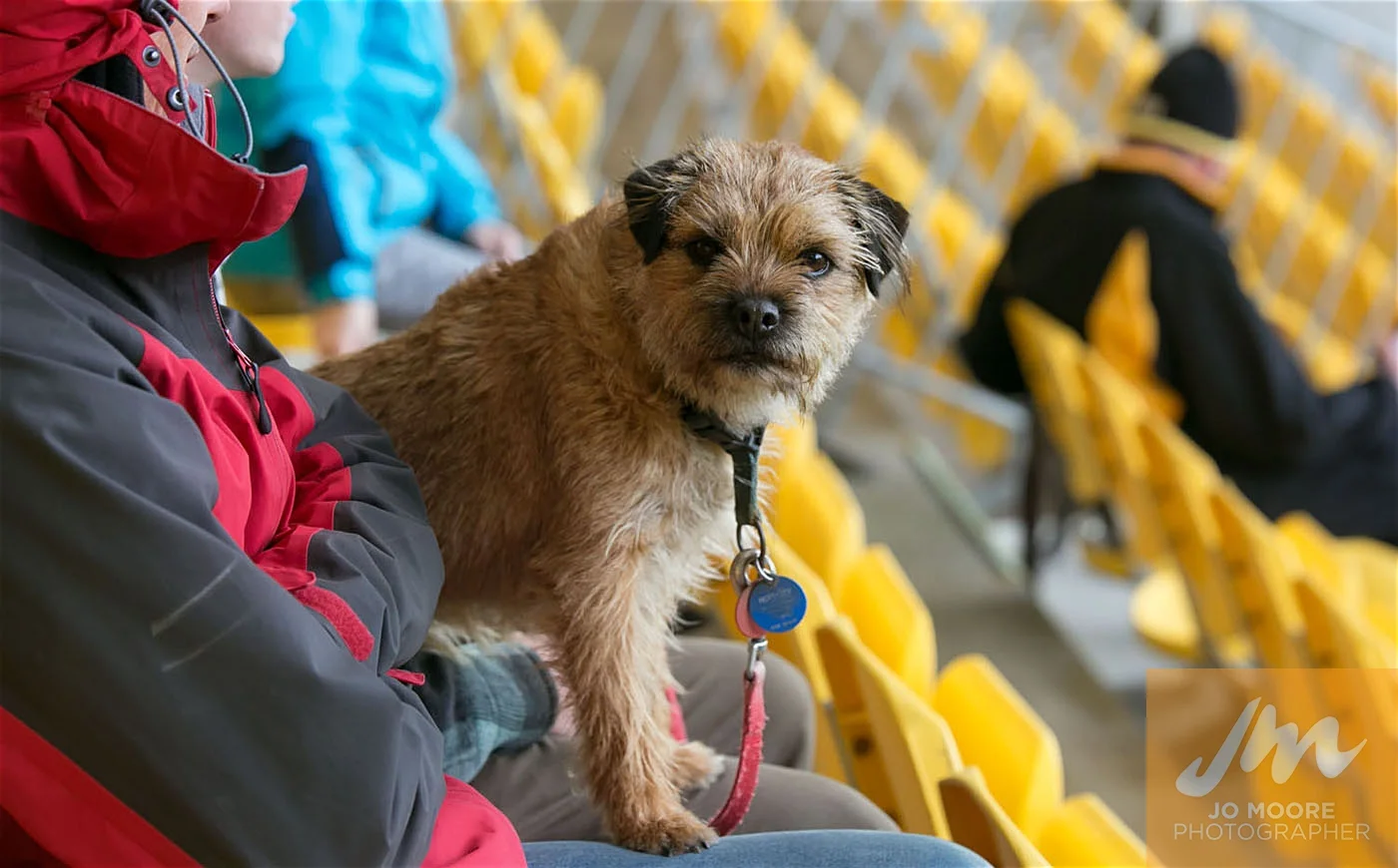 Rugby -178.jpg