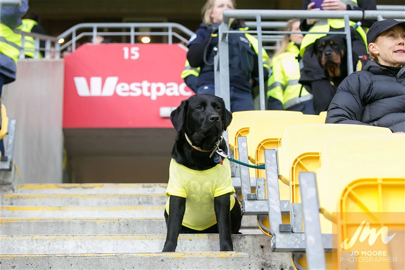 Rugby -192.jpg