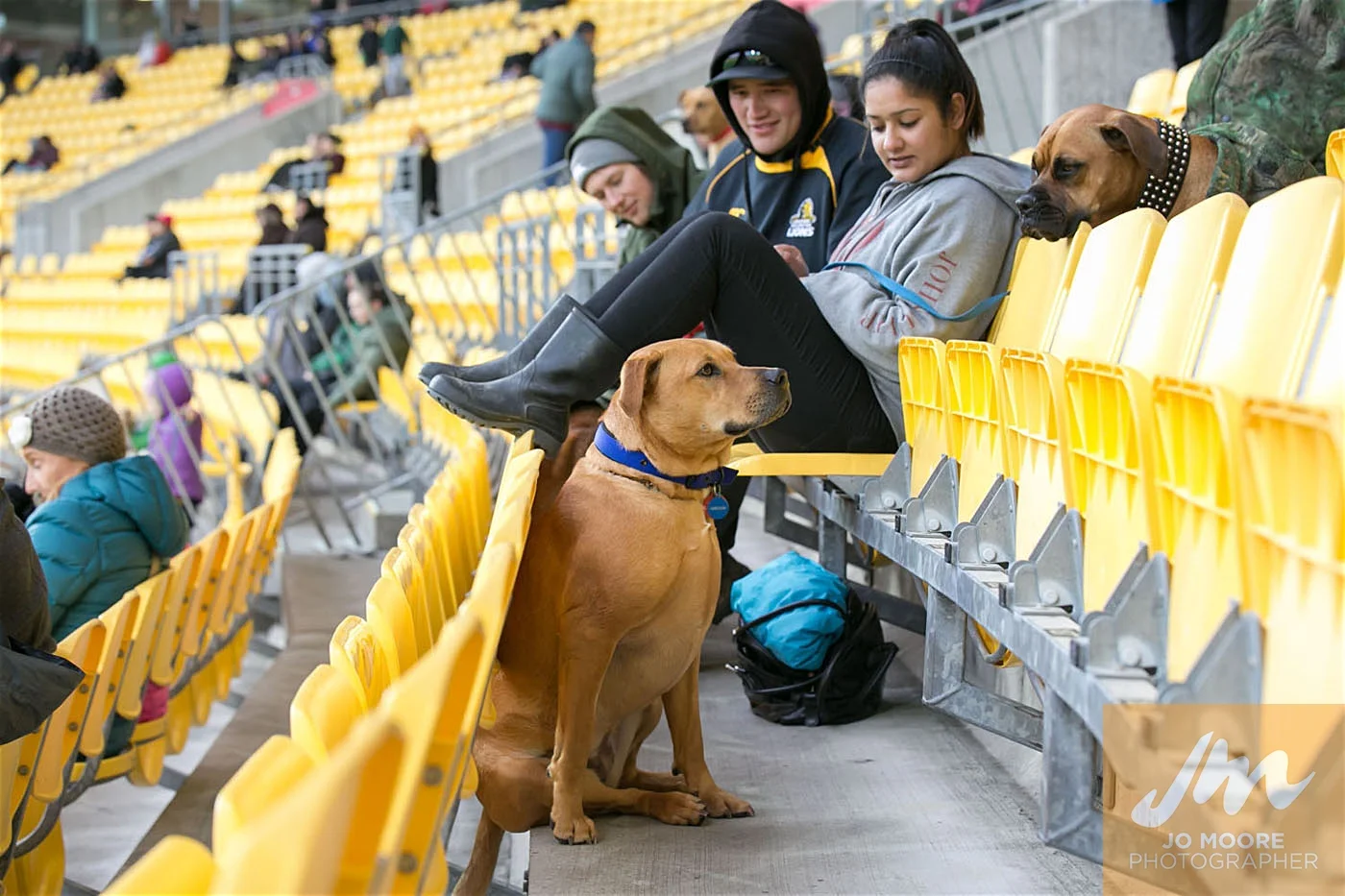 Rugby -194.jpg