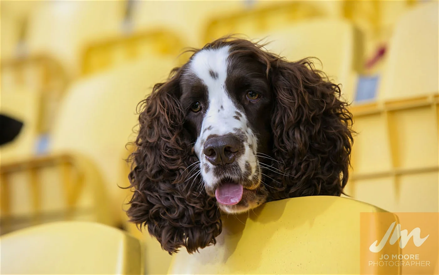 Rugby -206.jpg