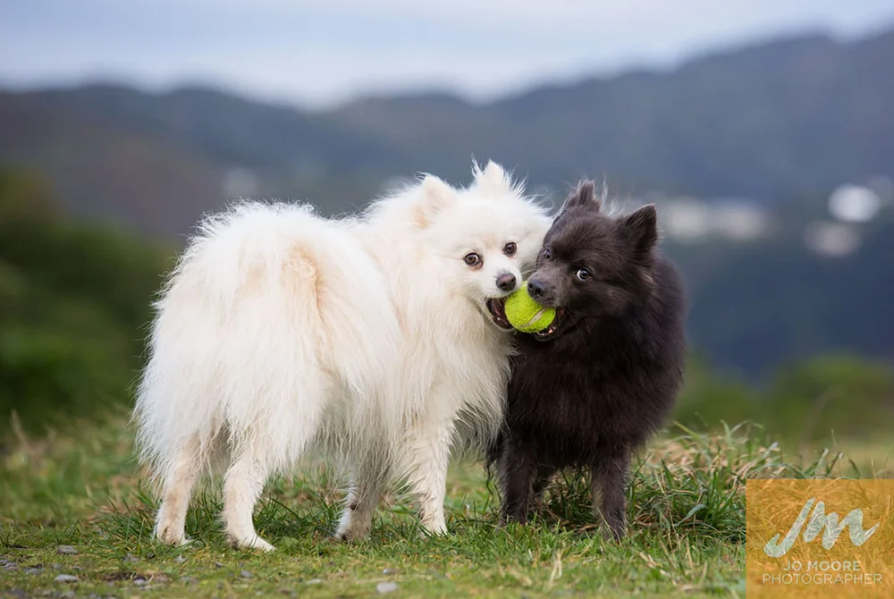 Nacho and Sarbie-53.jpg