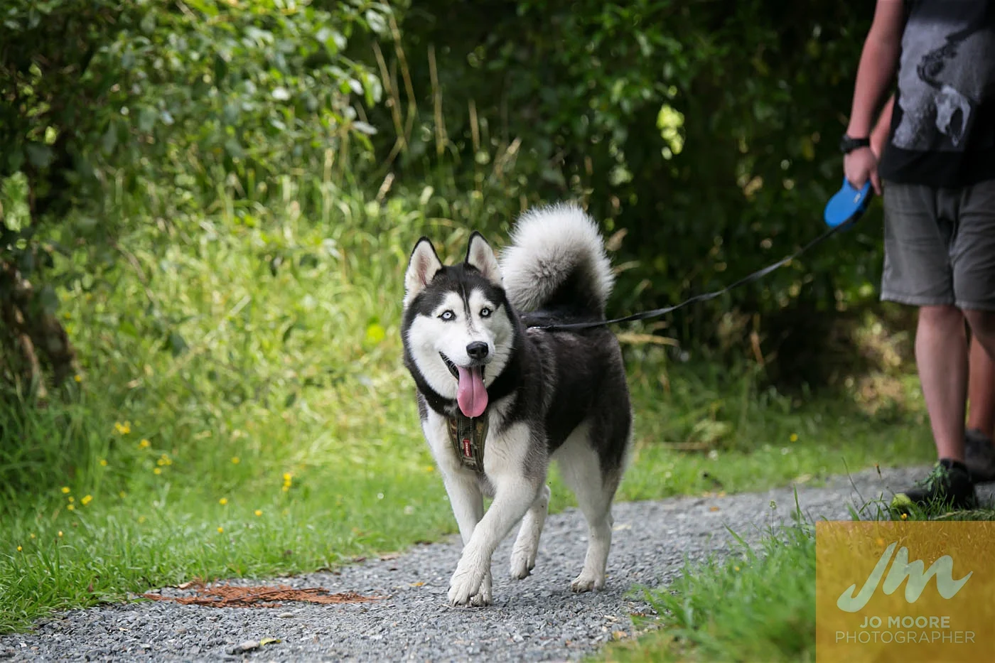 Paws in the Park-59.jpg