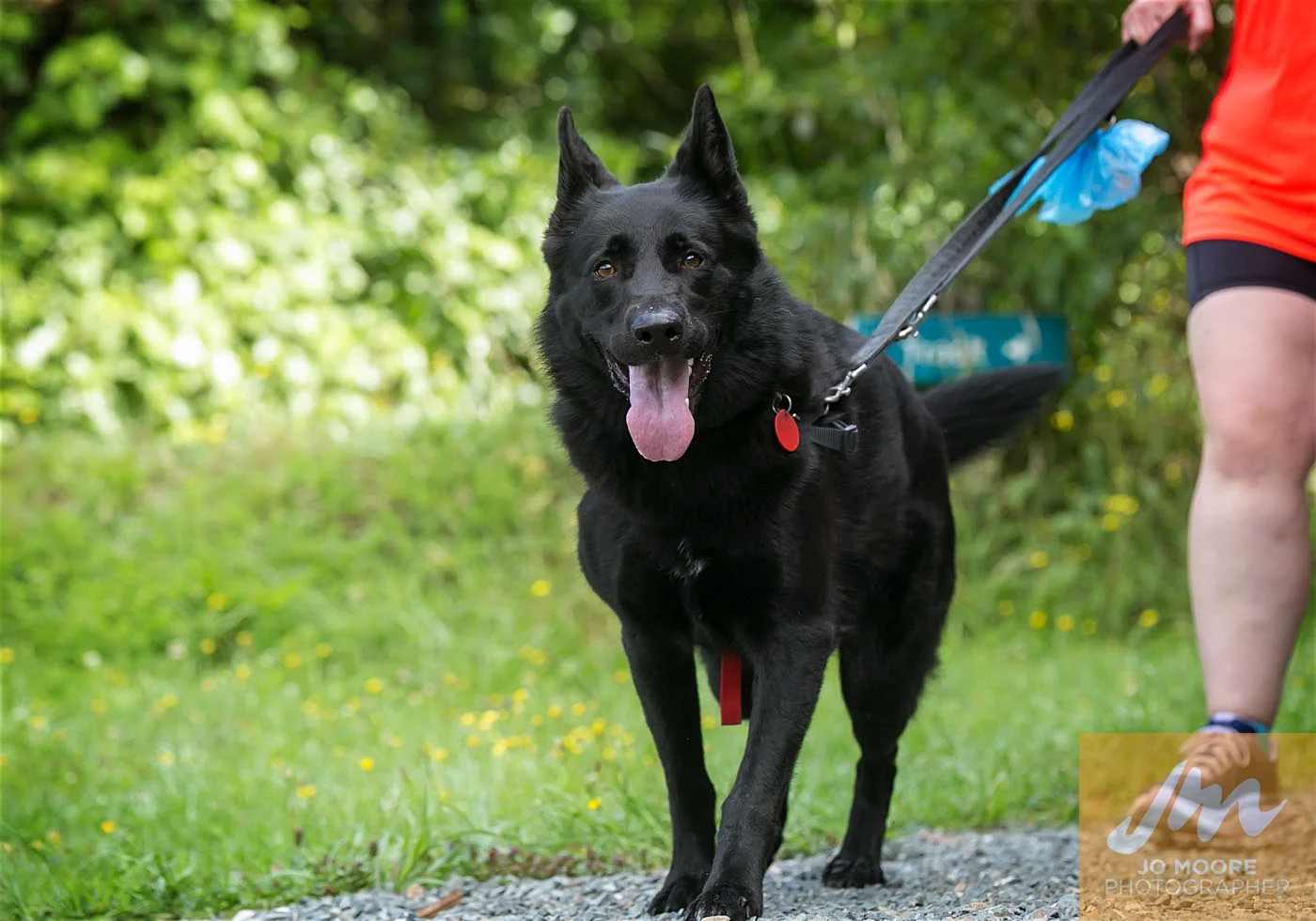 Paws in the Park-64.jpg