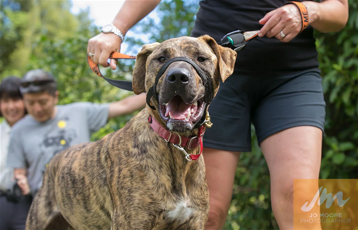 Paws in the Park-72.jpg