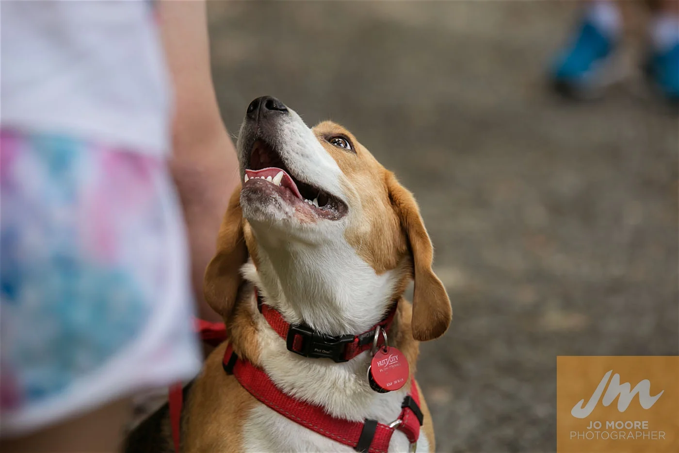 Paws in the Park-80.jpg