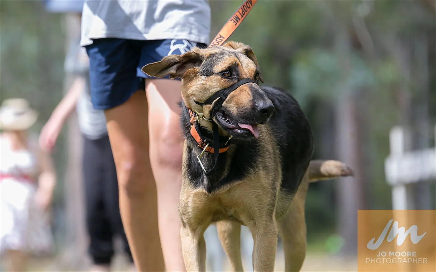 Paws in the Park-89.jpg