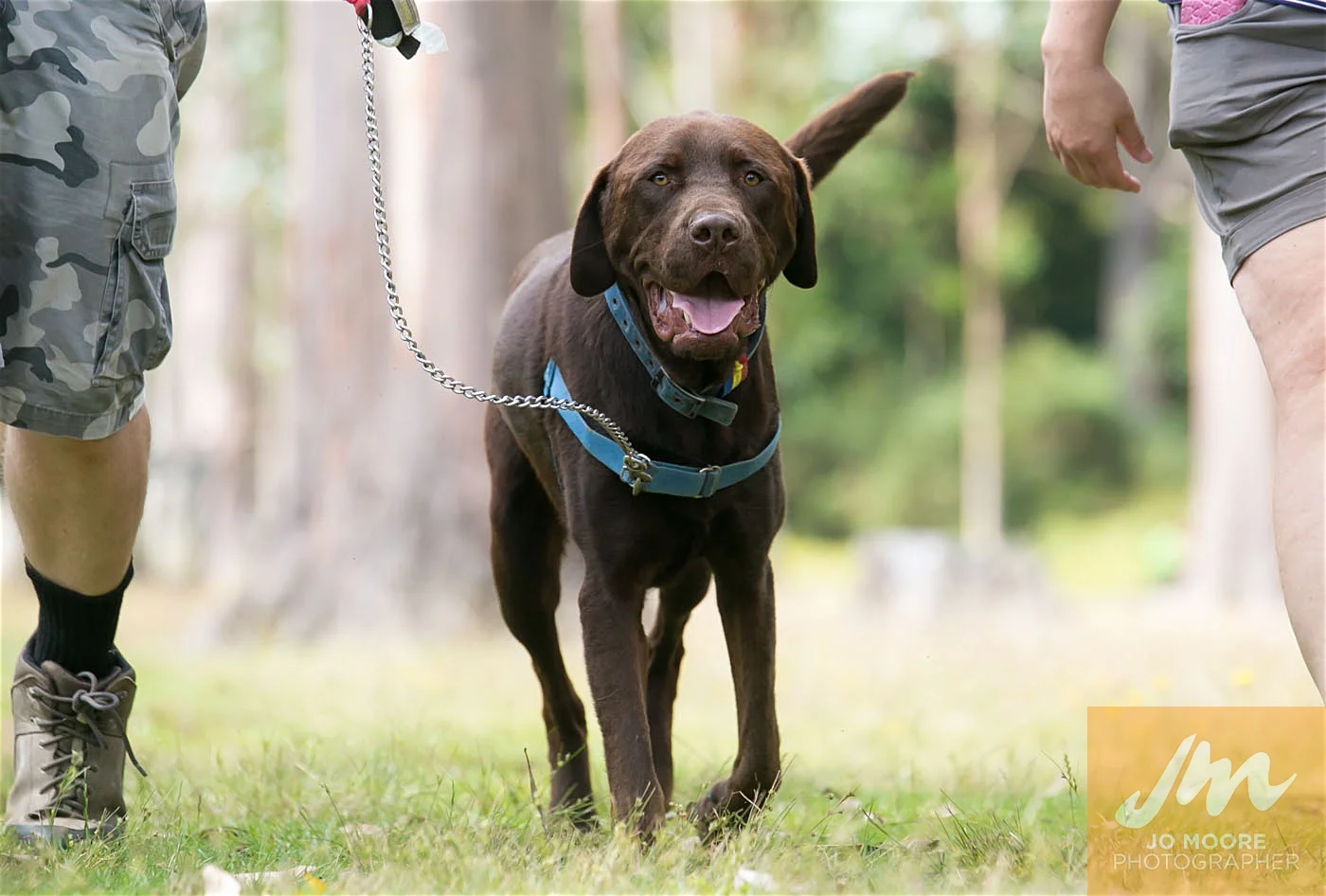 Paws in the Park-99.jpg