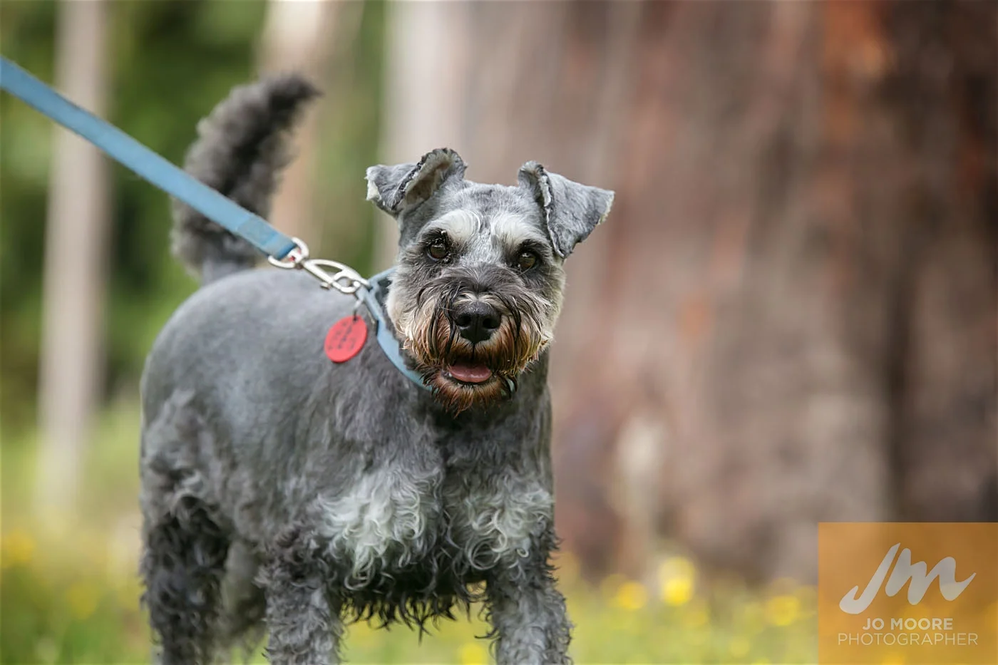Paws in the Park-108.jpg