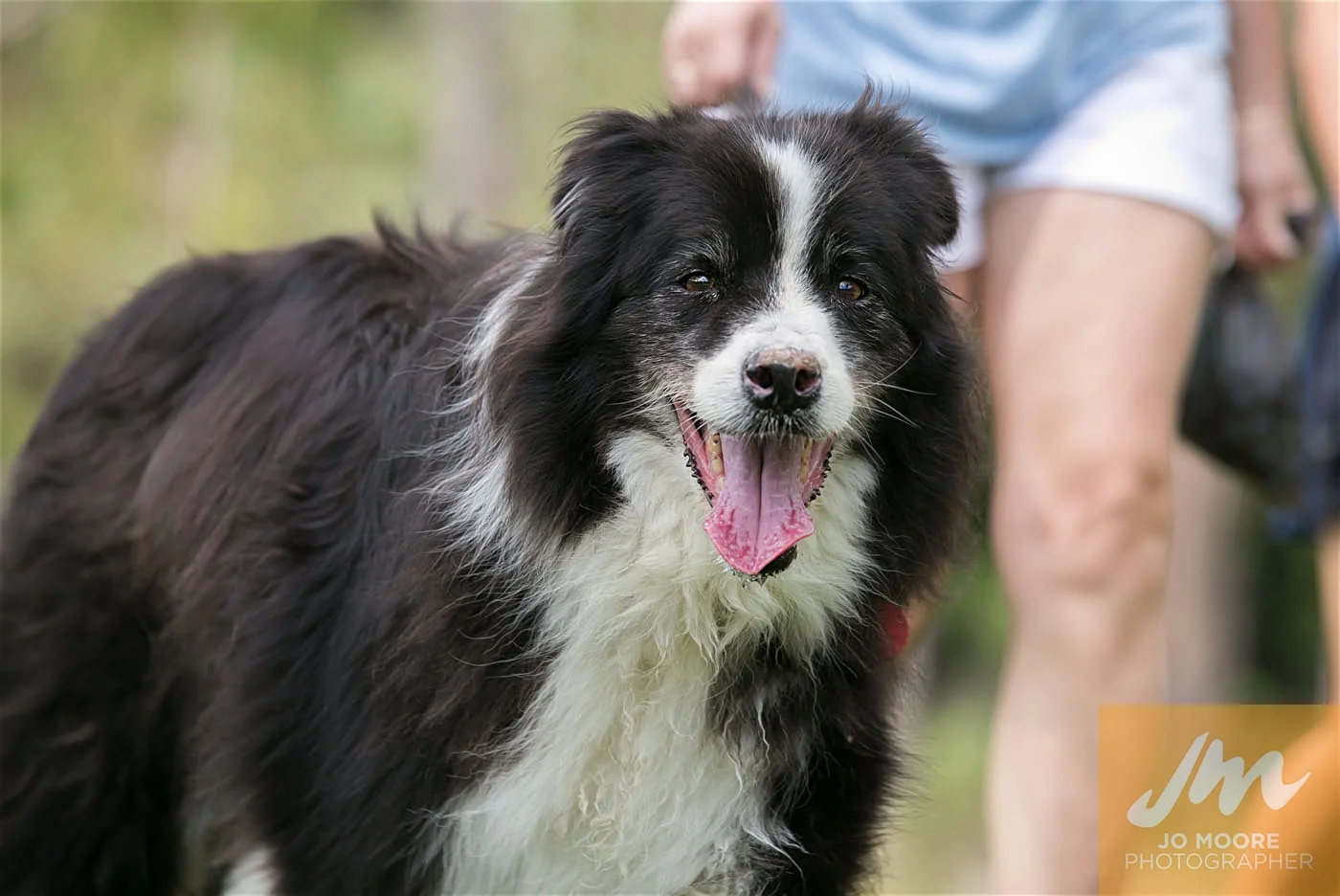 Paws in the Park-111.jpg