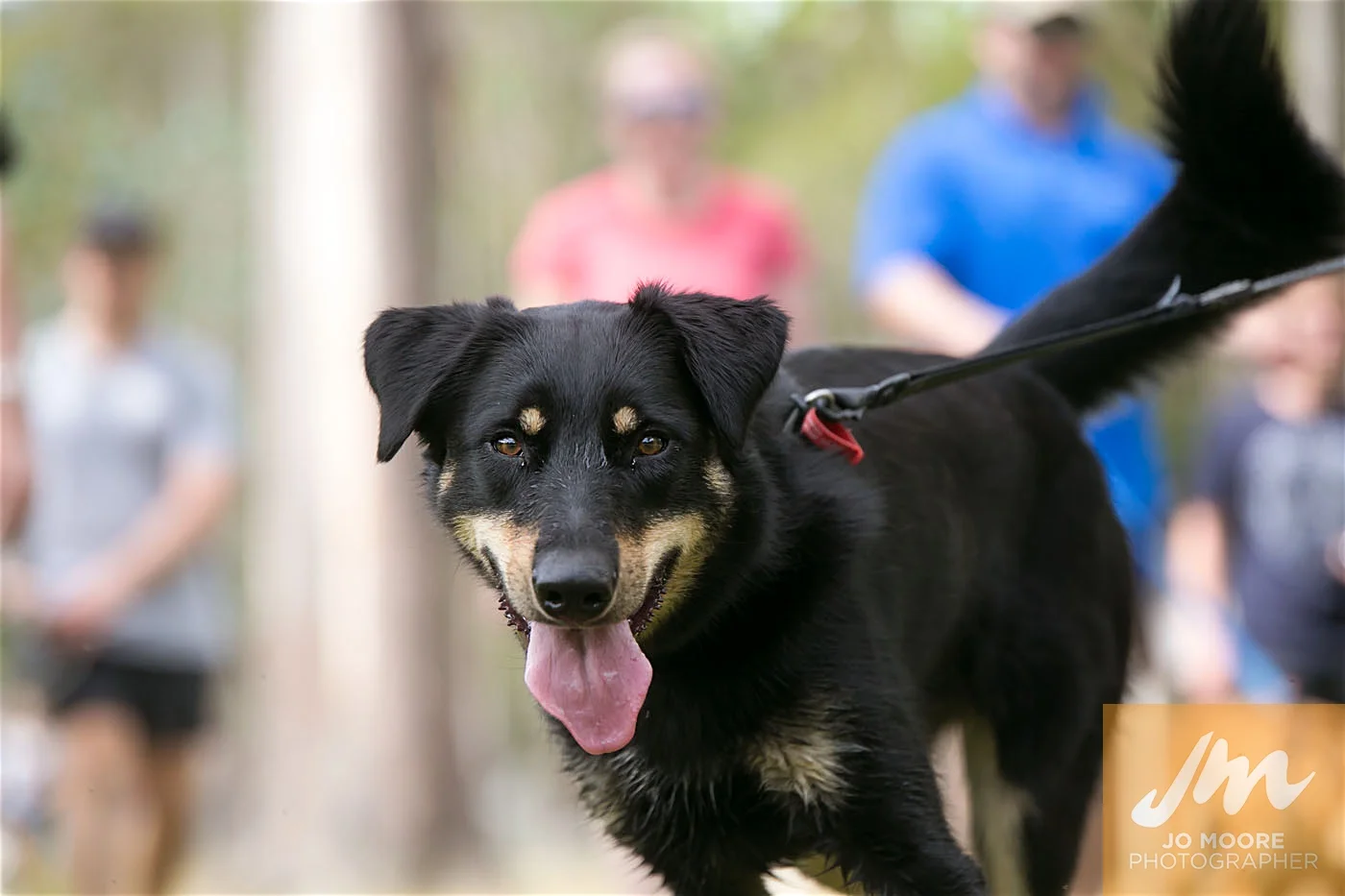 Paws in the Park-113.jpg