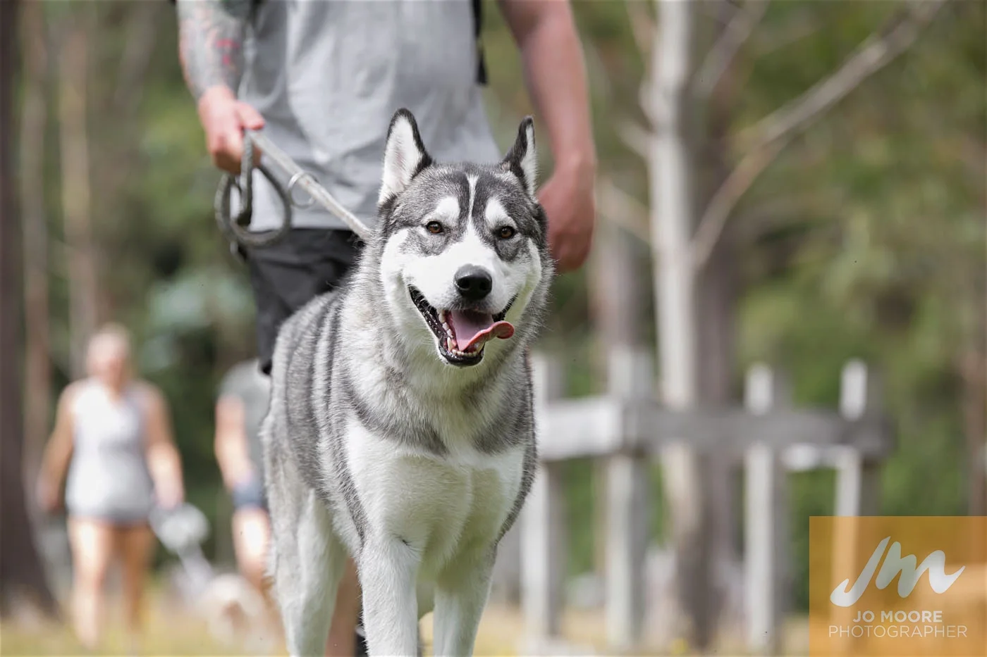 Paws in the Park-115.jpg