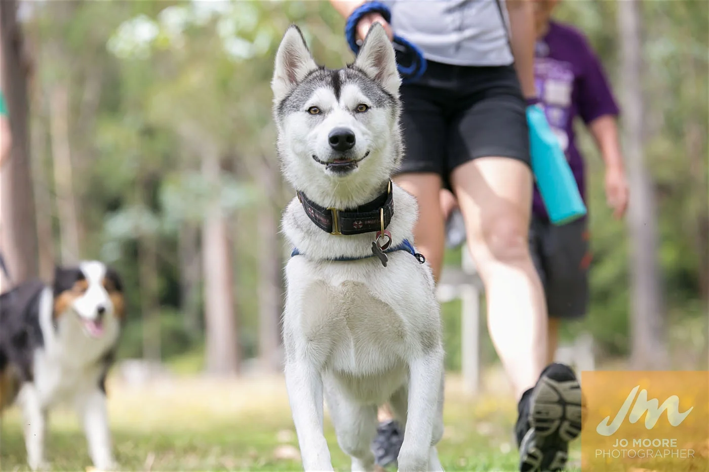 Paws in the Park-120.jpg