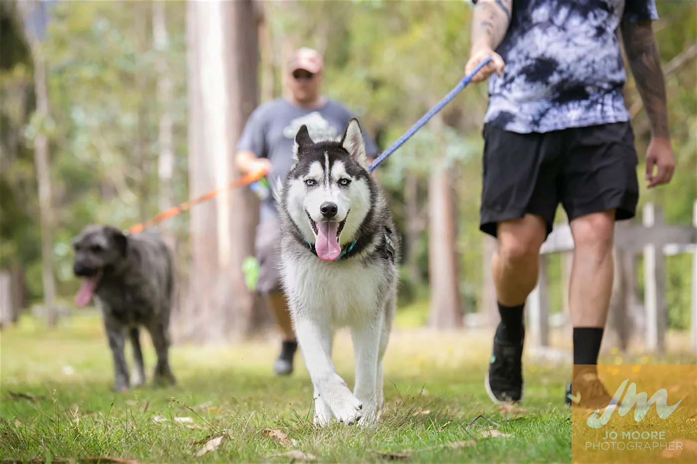 Paws in the Park-121.jpg