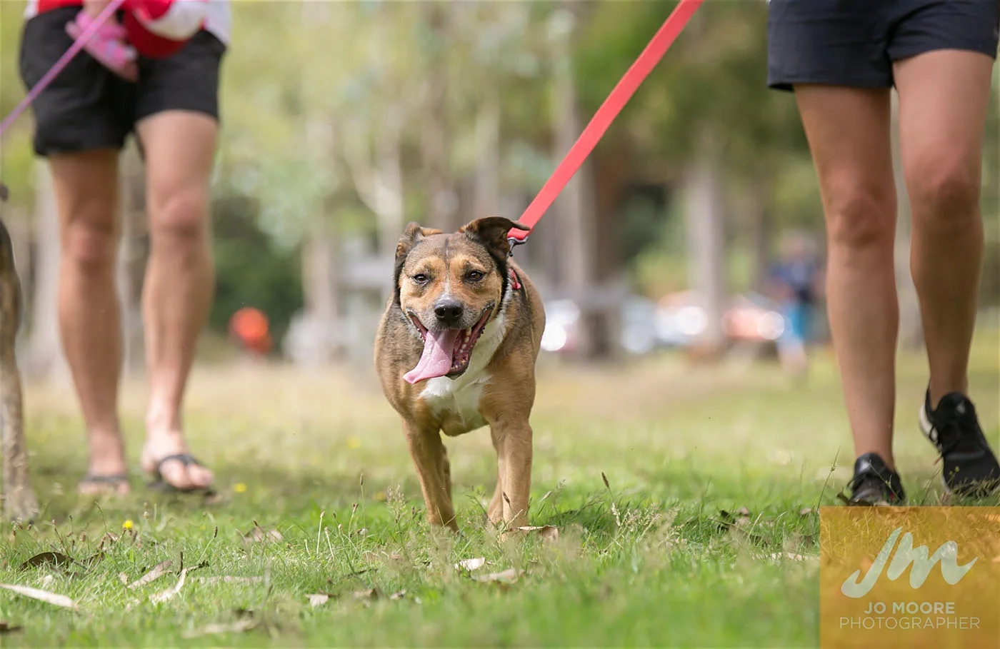 Paws in the Park-125.jpg