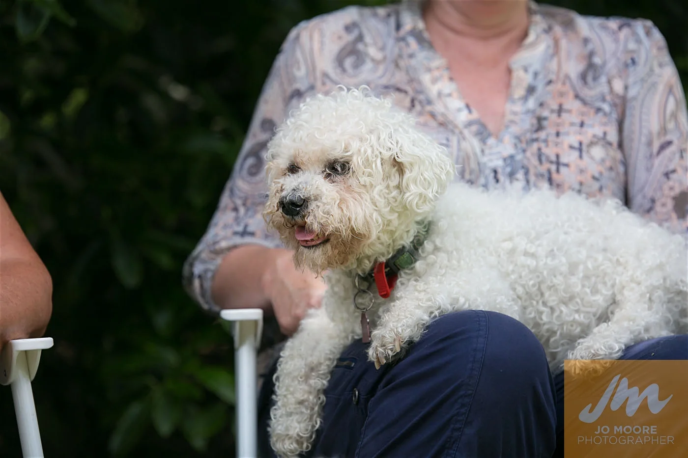 Paws in the Park-131.jpg