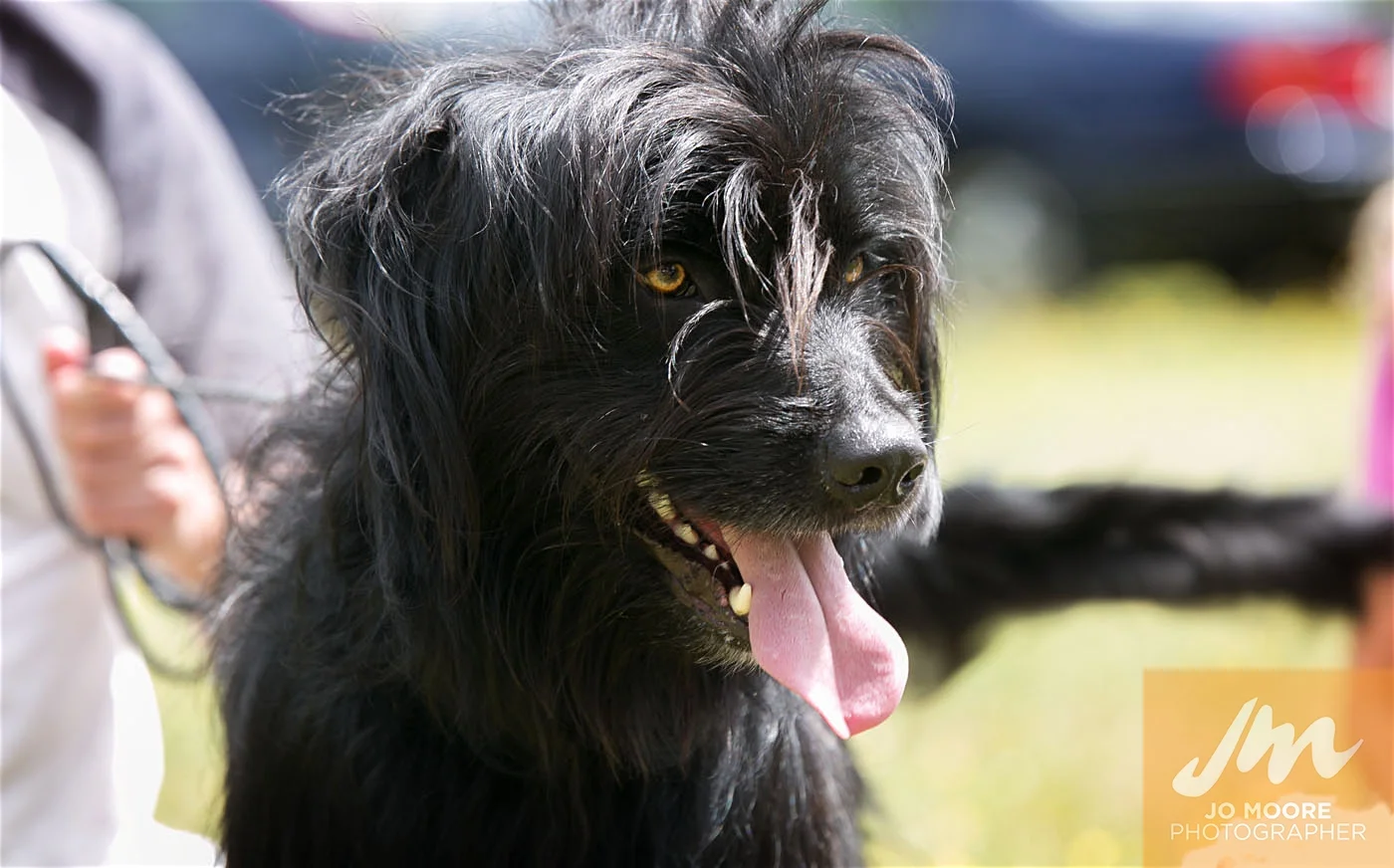 Paws in the Park-146.jpg