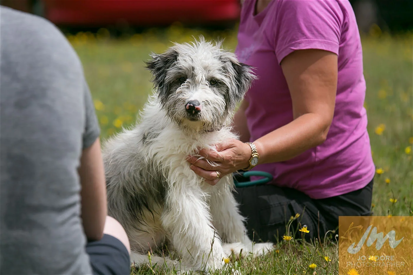 Paws in the Park-145.jpg