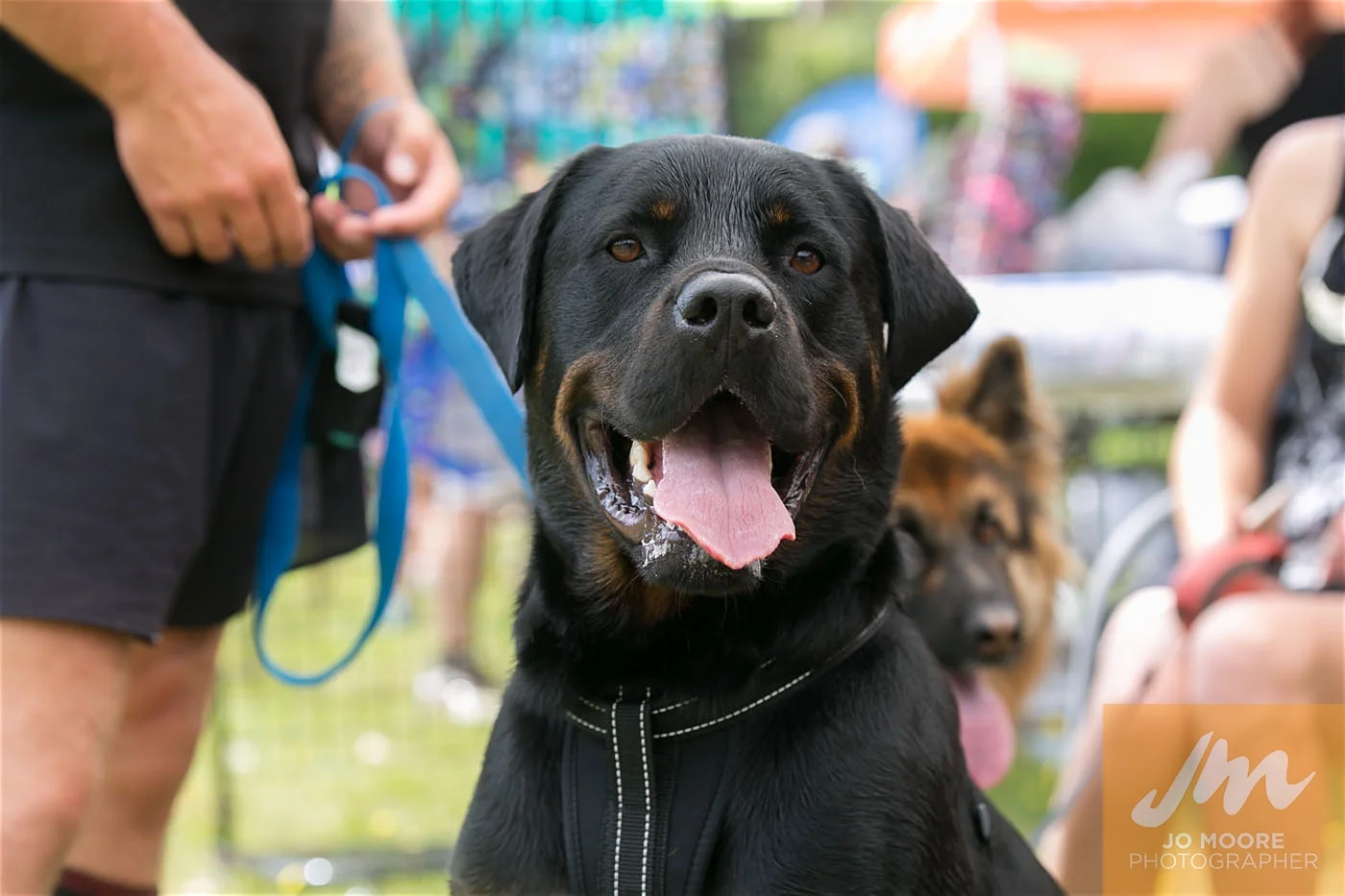 Paws in the Park-149.jpg