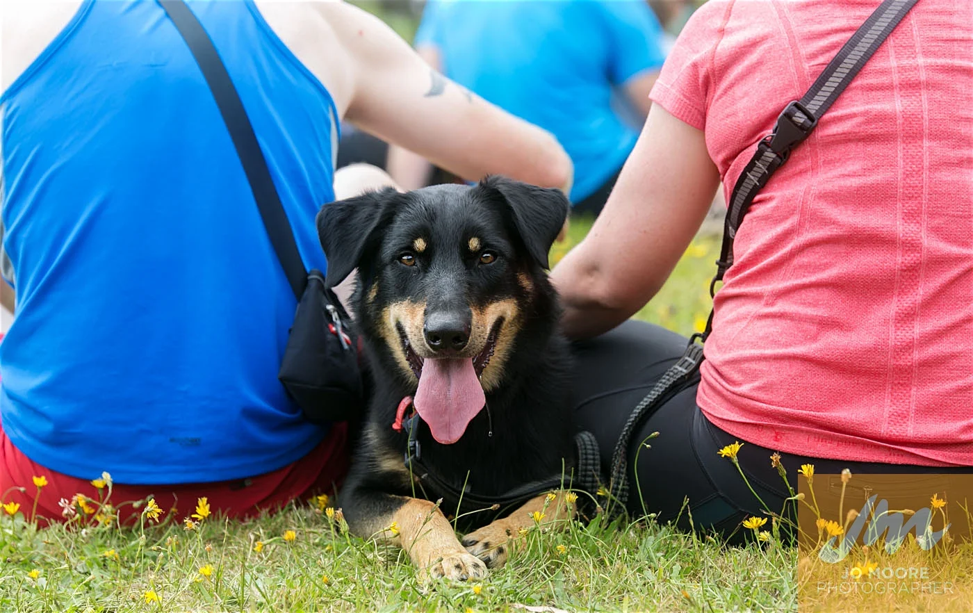 Paws in the Park-151.jpg